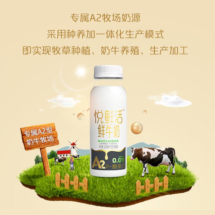悦鲜活 悦鲜活鲜牛奶 巴氏杀菌乳A2-酪蛋白鲜牛奶260mlx10瓶
