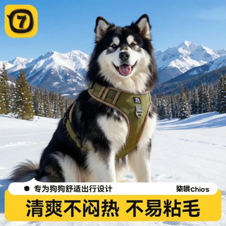 商品缩略图 2