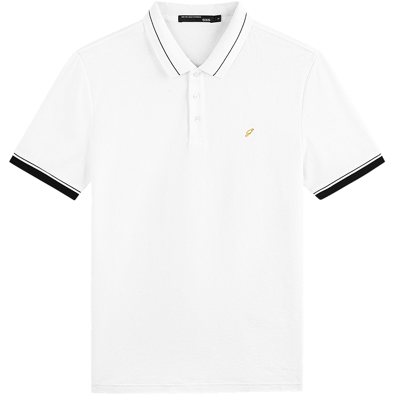 2025ļƷGXGĸ廨ʿײɫPolo116Ԫ