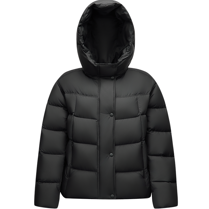 ɭ ȿ硿2590Ů̿걳ñ