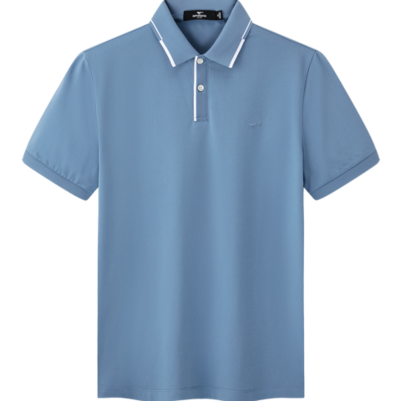 �� ���ɴ�� �����׷����ļ���ʿ��ɫ����POLO��