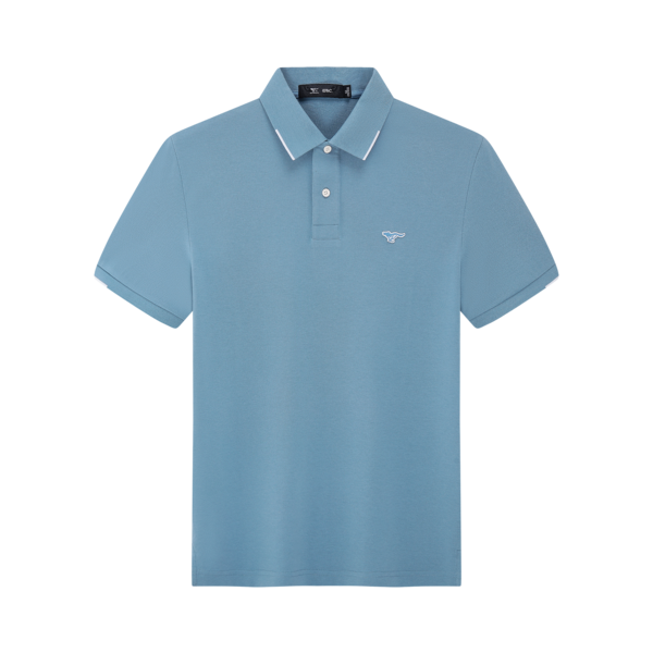 ƥ ʿPOLO?1720  84Ԫ