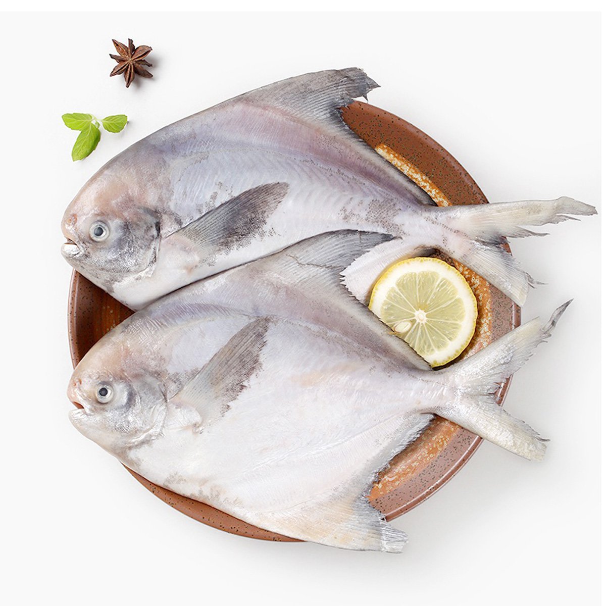 东海特产野生白鲳鱼400g/条*2大号冷冻海鲜水产平鱼包邮