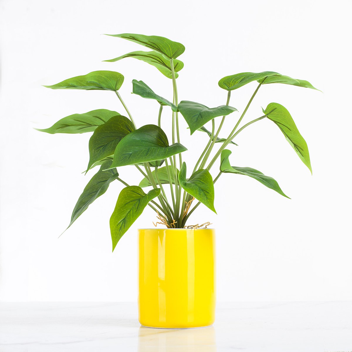 商品编码:color绿萝黄色陶瓷盆栽 收藏商品 已收藏取消收藏