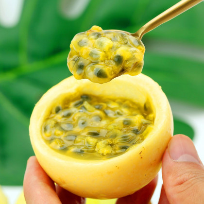 启灵果 5斤装黄金百香果 单果约60g以上不加蜂也甜黄色大甜果现摘现发