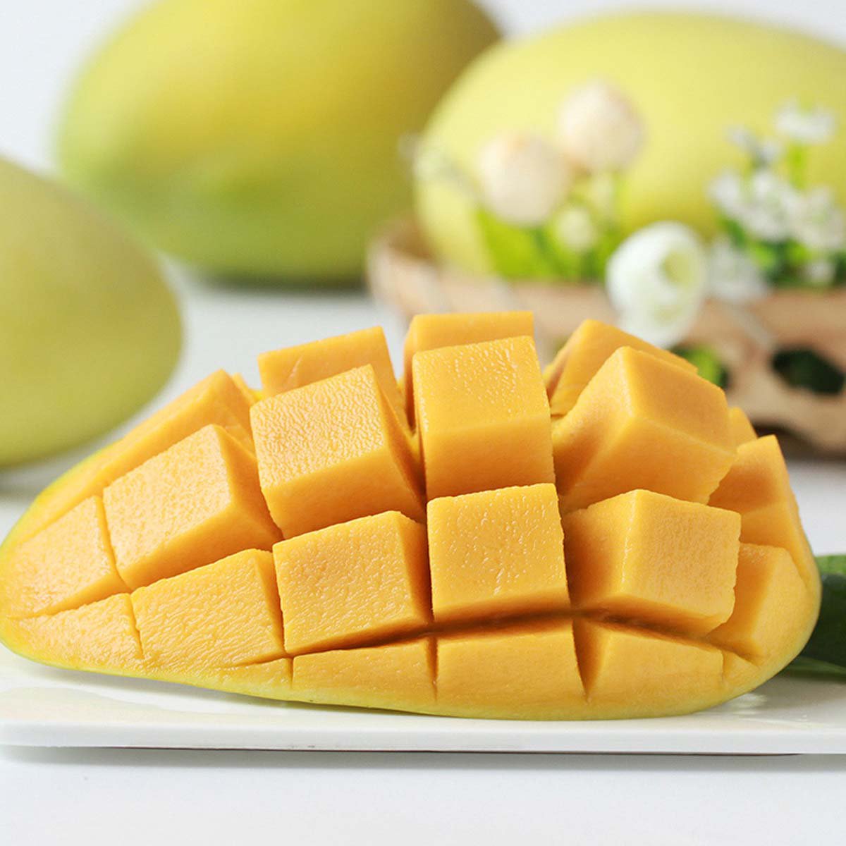 世果汇 四川攀枝花凯特芒果5斤单果400-1500g 大凯特芒 现摘现发