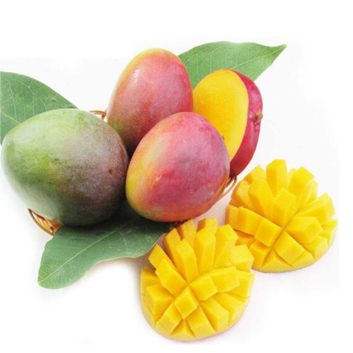 【青梅尖】四川吉禄芒果 净重5斤装 中大果单果200-400g 现摘现发