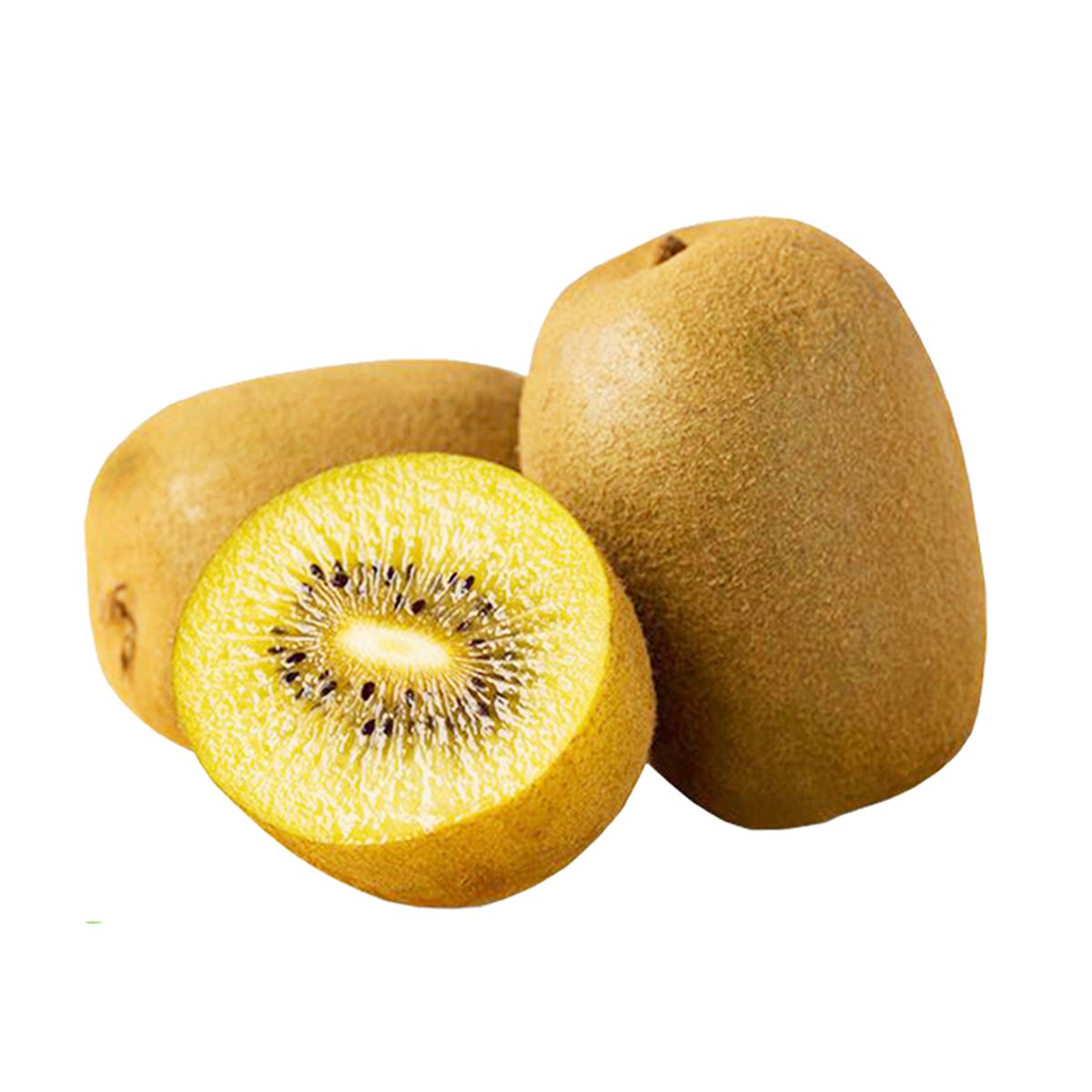 ڽ6װ