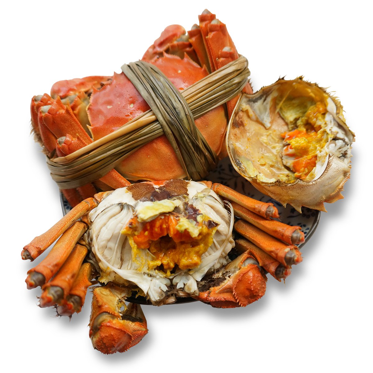 【现货】阳螯 阳澄湖大闸蟹现货螃蟹实物礼盒 公3.5两 8只装