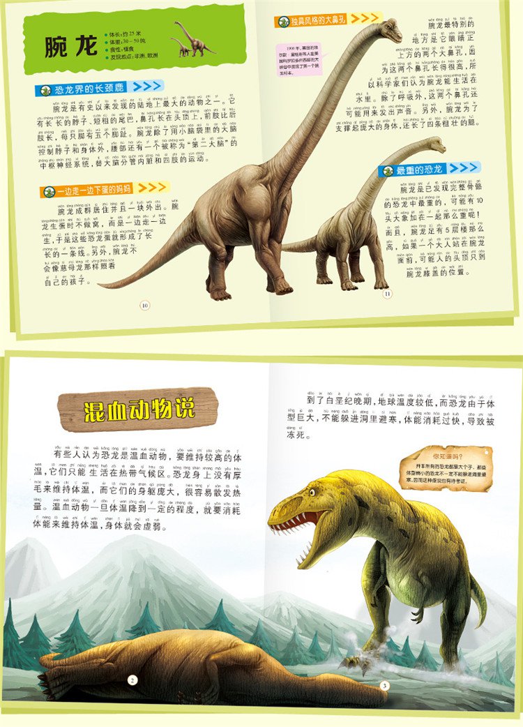 310岁恐龙故事书全套6册儿童绘本恐龙百科大全书