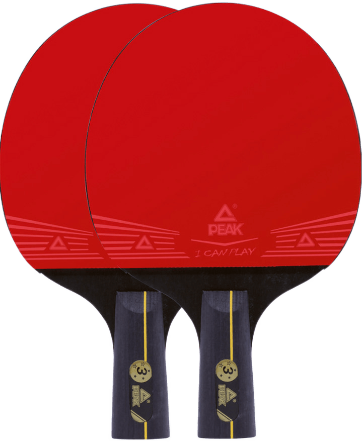 ƥ ƹĸߵѧ߱ͯСѧרҵ˫װ