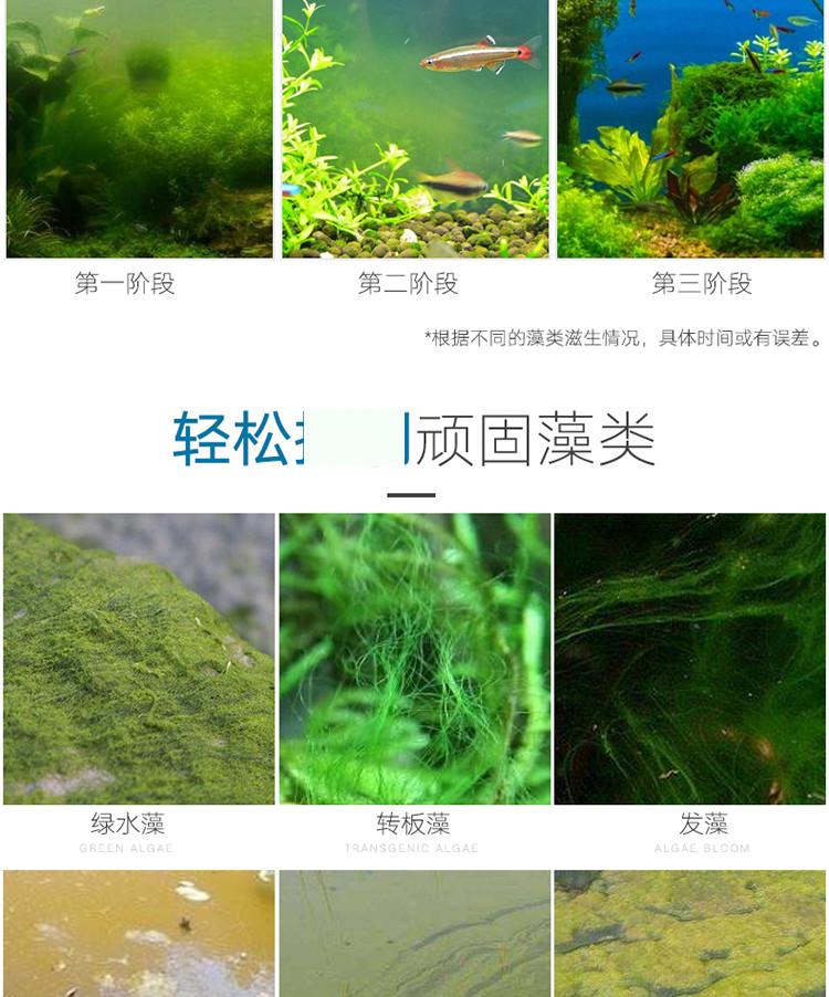 绿苔和绿藻的区别图图片
