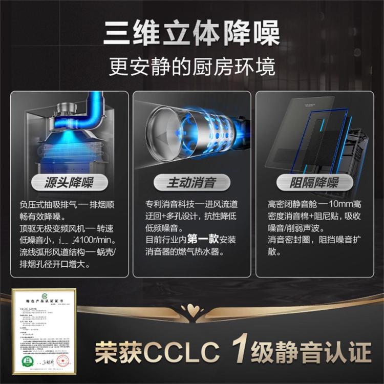 A.O.SMITH 史密斯13升16升燃气热水器家用洗澡天然气TEW 专利1级静音