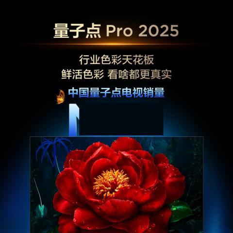 TCL 电视T6L 98/85/75/65/55英寸 QD-Mini LED 万象分区 图片 6