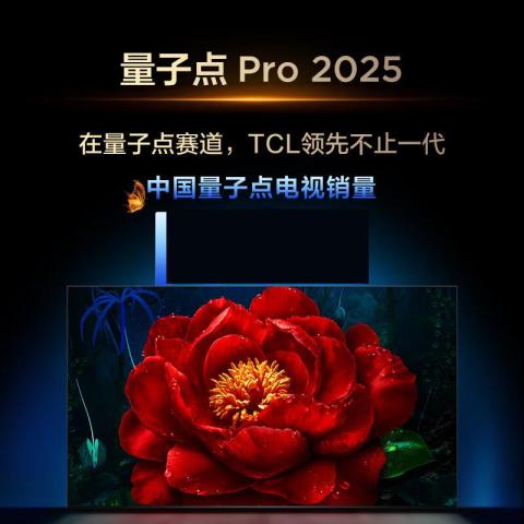 TCL 85T6L Pro 85英寸 QD-Mini LED 蝶翼星曜屏液晶电视机75/65 图片 5
