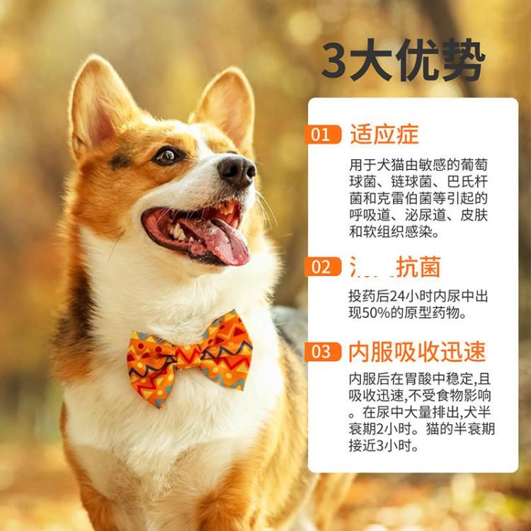 商品缩略图 10