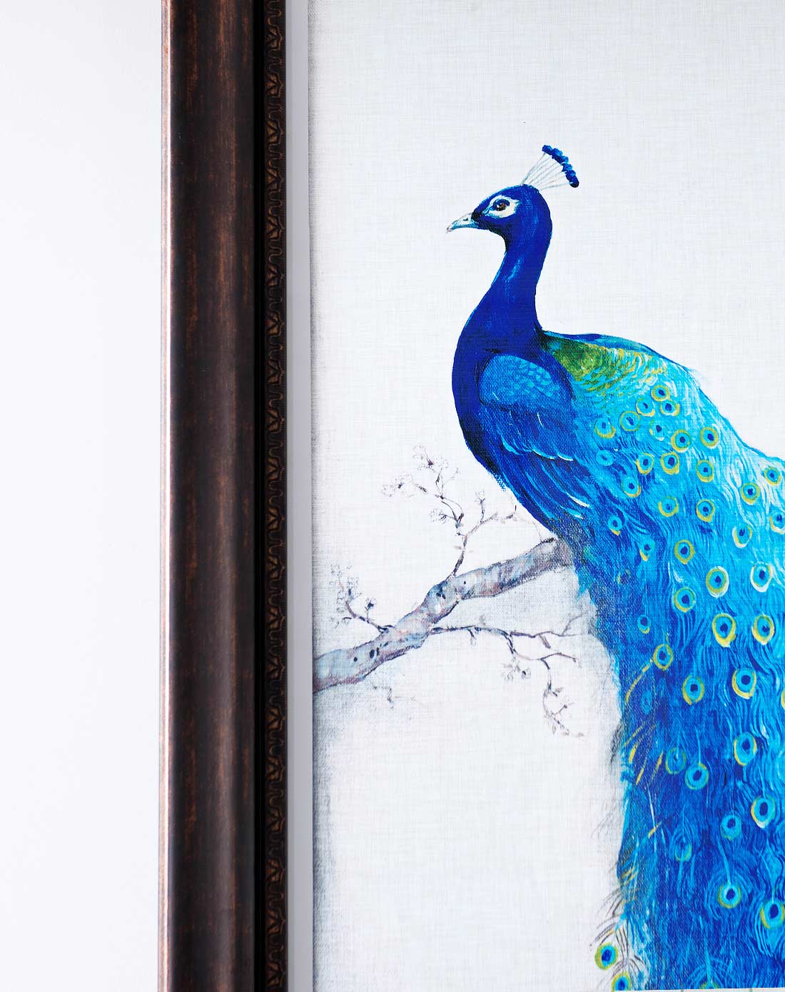 进口原版画芯装饰画 蓝孔雀 单幅