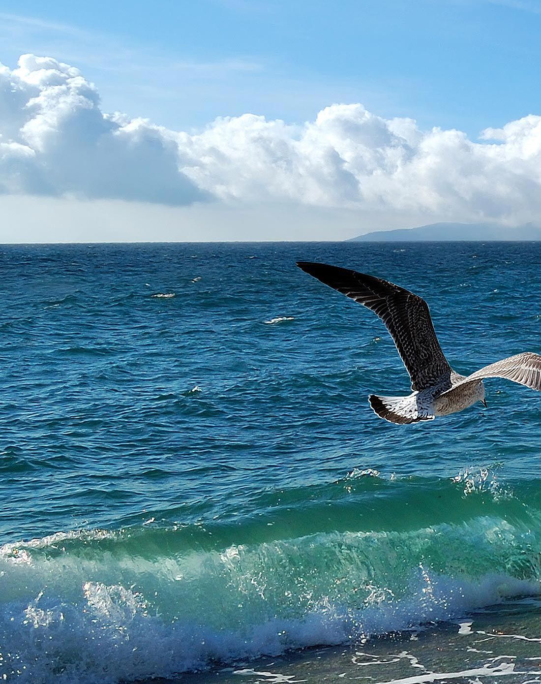 海洋系列装饰画 海纳百川