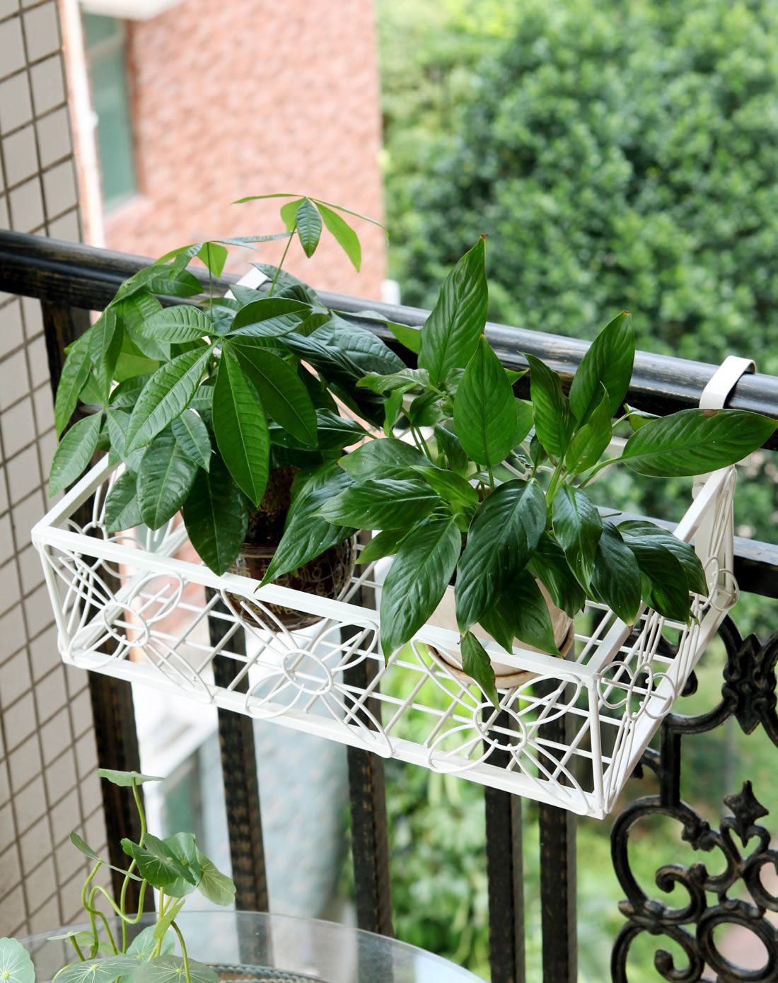 白色管制阳台花盘挂篮(45cm长)